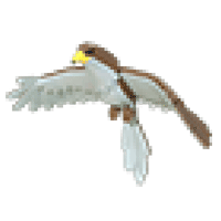 Hawk - Legendary from Woodland Egg